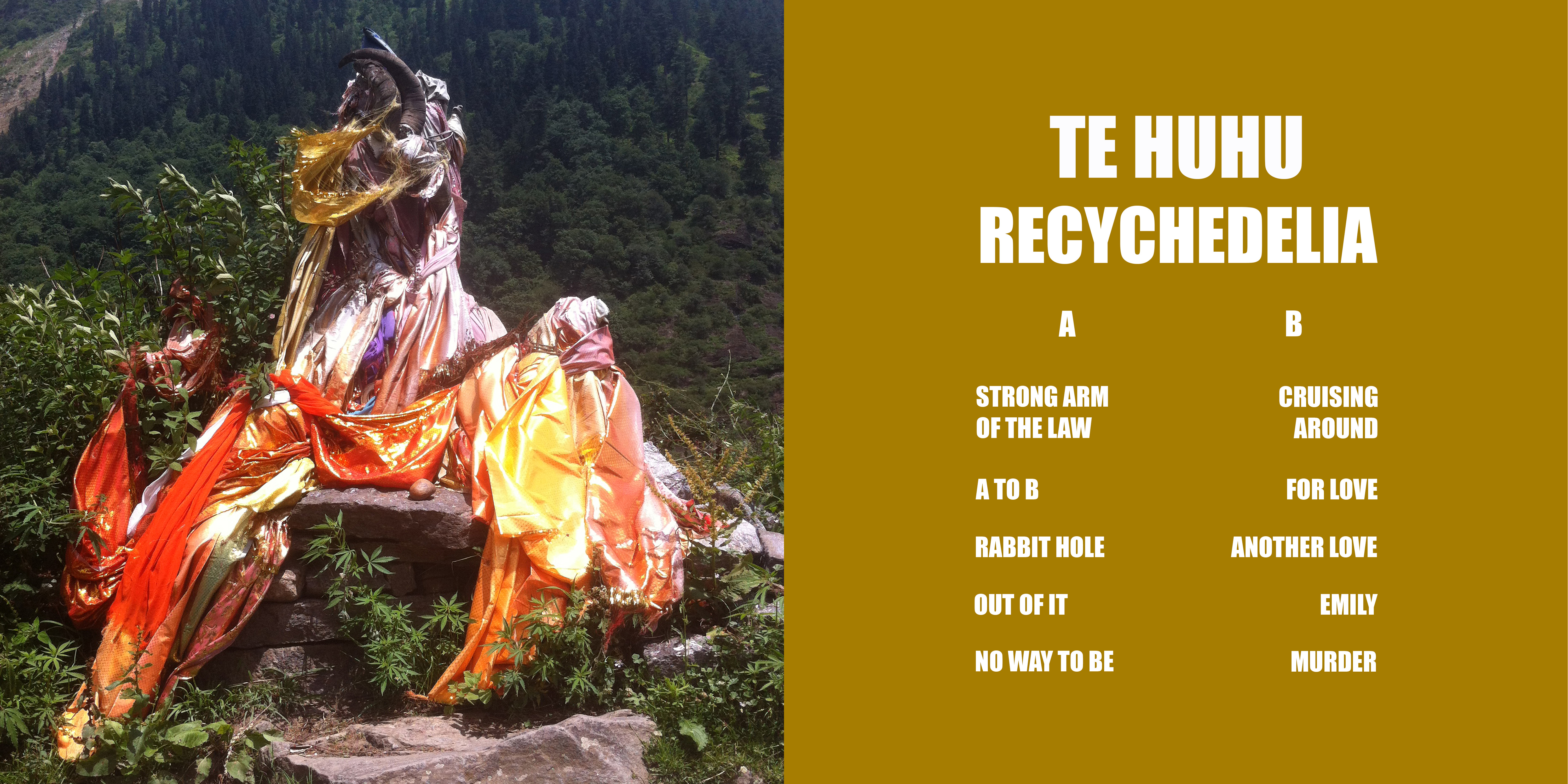Te Huhu | Recychedelia